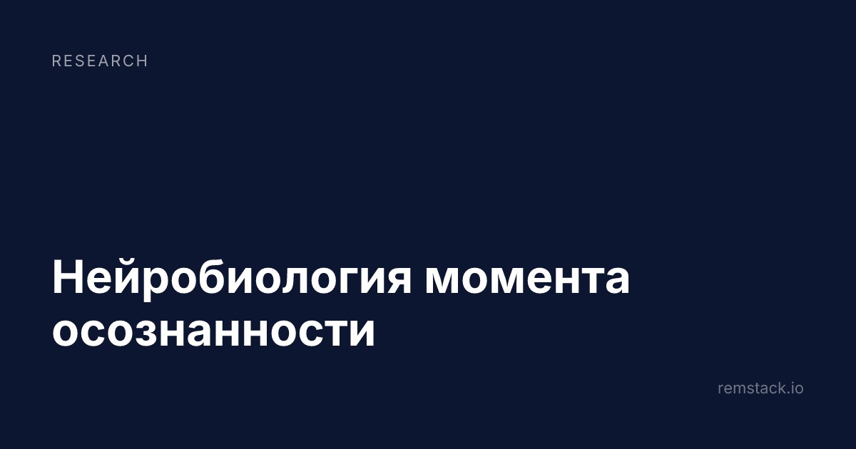 Нейробиология момента осознанности