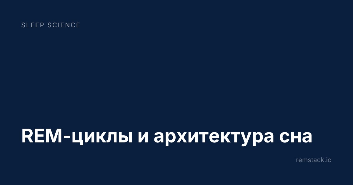REM-циклы и архитектура сна